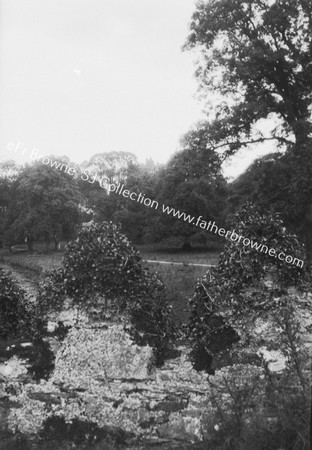 TINTERN ABBEY VIEW OF AVENUE & PARK (FIND ABBEY?) FROM BRIDGE